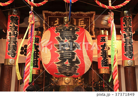 浅草　鷲（おおとり）神社の酉の市　 37371849