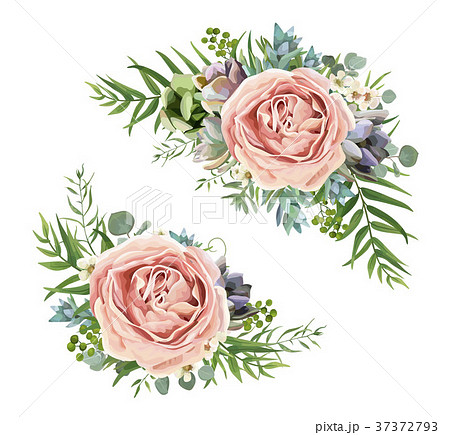 Vector floral bouquet design: garden purple rose 37372793