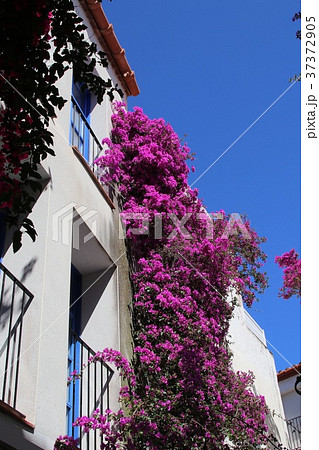 ダリが愛したカダケスの街 37372905