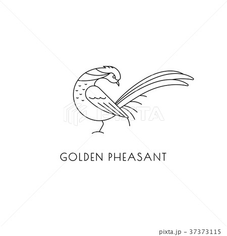 Golden pheasant outline icon 37373115