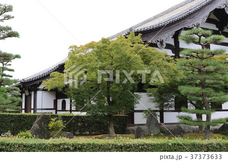 東福寺 東福寺 37373633