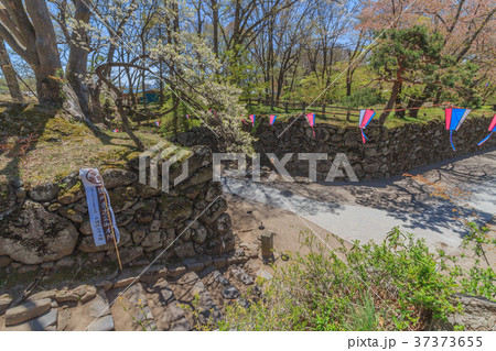 春の懐古園の二の門跡の風景 37373655