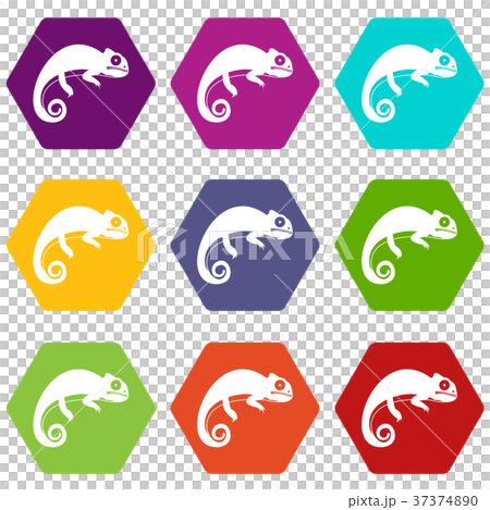Chameleon icon set color hexahedron Chameleon icon set color hexahedron 37374890