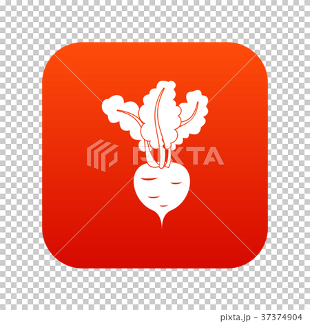 Fresh beetroot icon digital red Fresh beetroot icon digital red 37374904