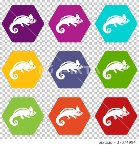 Chameleon icon set color hexahedron 37374994