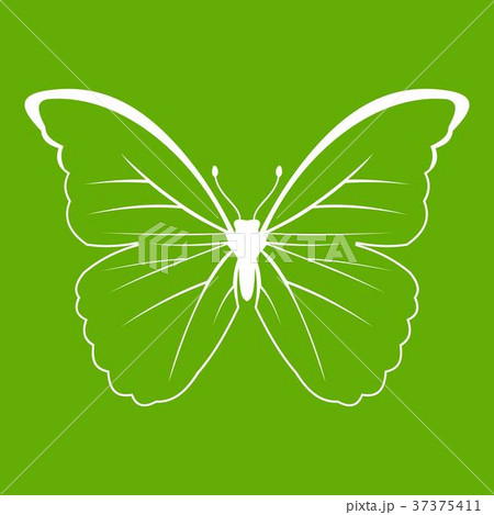 Butterfly icon green Butterfly icon green 37375411