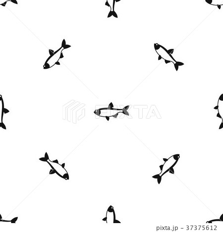 Rudd fish pattern seamless black 37375612