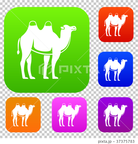 Camel set color collection Camel set color collection 37375783