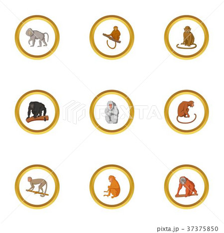 Primate icons set, cartoon style 37375850