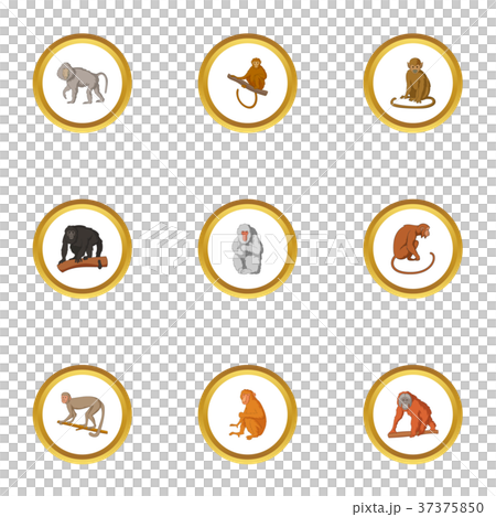 Primate icons set, cartoon style 37375850