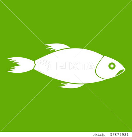 Fish icon green Fish icon green 37375981