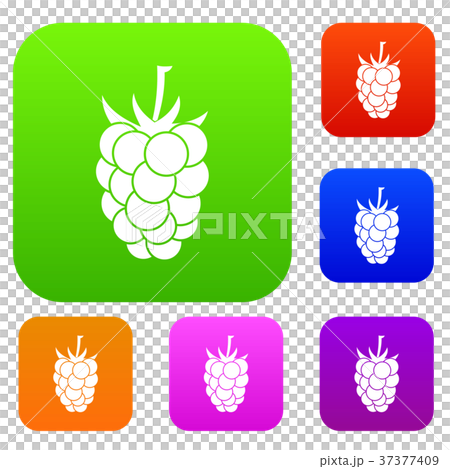 Blackberry fruit set color collection 37377409