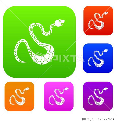 Black spotted snake set color collection 37377473