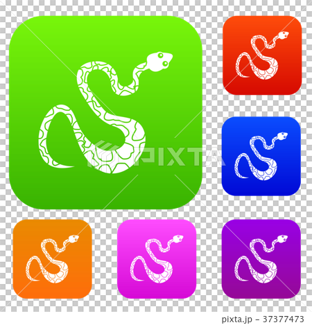 Black spotted snake set color collection 37377473