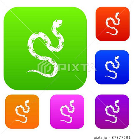 Venomous snake set color collection Venomous snake set color collection 37377591