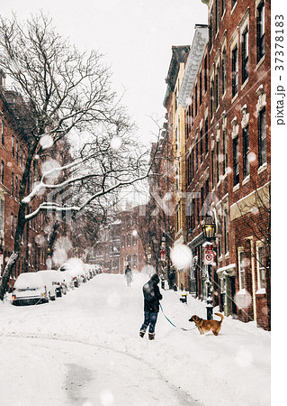 ボストンの冬景色の写真素材