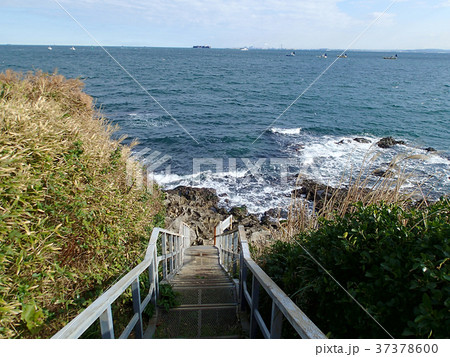 神奈川県横須賀市　猿島 37378600