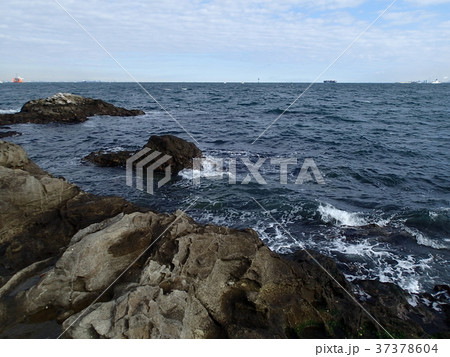 神奈川県横須賀市　猿島 37378604