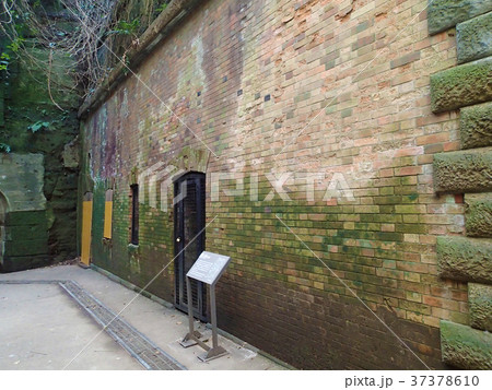 神奈川県横須賀市　猿島 37378610