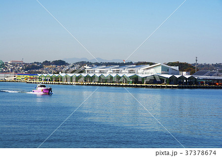 塩釜港の新しい魚市場の建物のある風景 37378674
