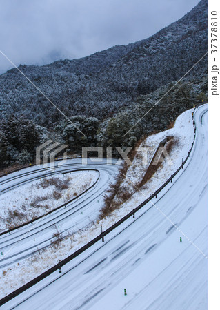 雲仙雪景色　千々石から雲仙への道（県道128号） 37378810