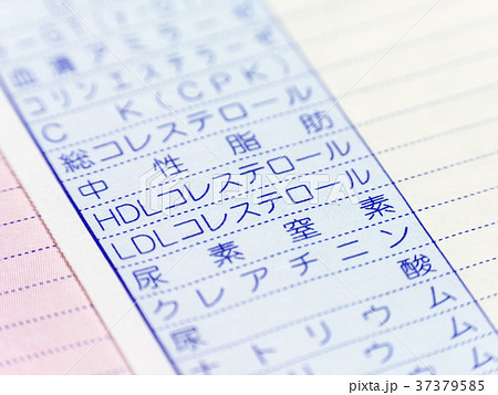 特定健康診査結果通知表　血中脂質検査 37379585