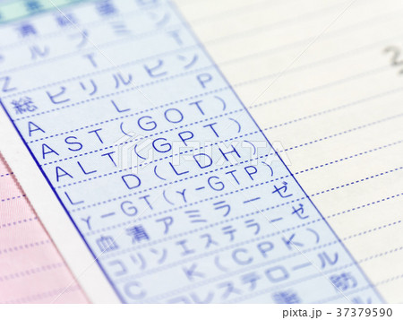 特定健康診査結果通知表 肝機能検査 特定健康診査結果通知表 肝機能検査 37379590