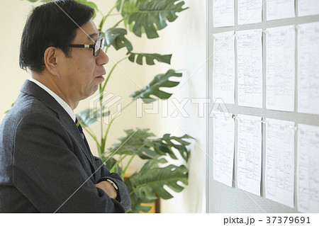 雇用を探すシニア男性 就活 雇用を探すシニア男性 就活 37379691