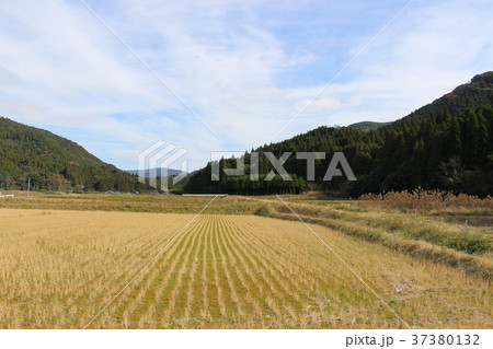 田舎の田 田舎の田 37380132