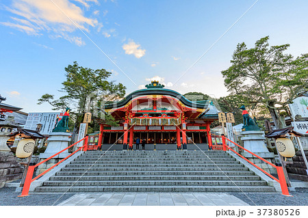 京都　伏見稲荷大社　本殿 37380526