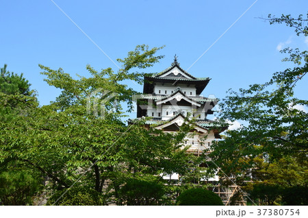 弘前城(弘前公園/青森県弘前市) 弘前城(弘前公園/青森県弘前市) 37380754