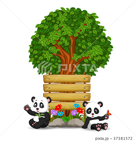 two pandas in front of an empty wooden signboard 37381572