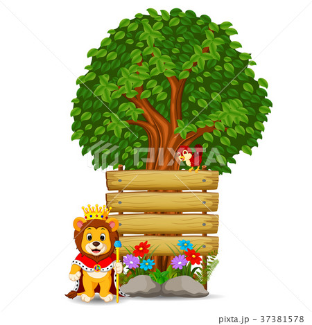 lion in front of an empty wooden signboard 37381578