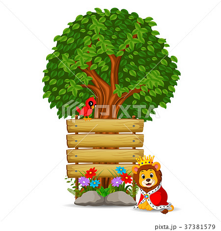 lion in front of an empty wooden signboard 37381579