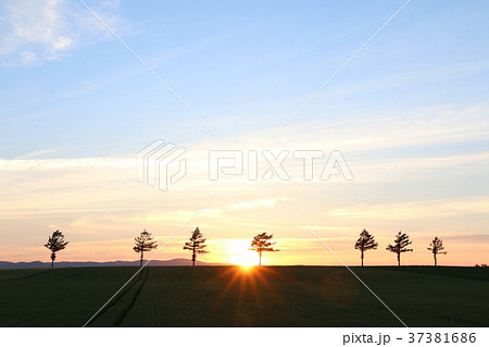 北海道　青空と夕日の大地 37381686