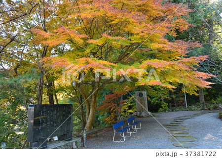 西山荘付近の景観 #2 西山荘付近の景観 #2 37381722