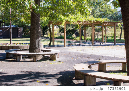 山梨県山梨市　万力公園 37381901