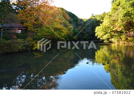西山荘付近の景観 13 西山荘付近の景観 13 37381922