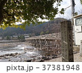 渡月橋 37381948