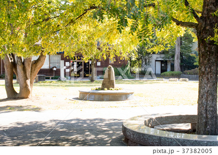 山梨県山梨市 万力公園 山梨県山梨市 万力公園 37382005