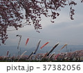相川水辺公園 37382056