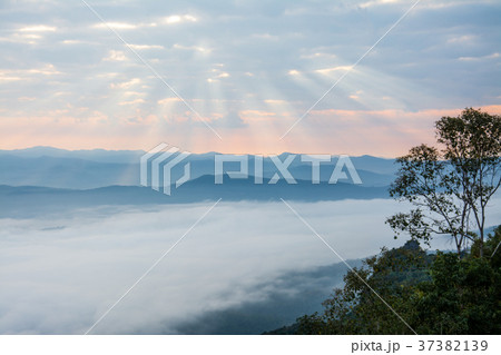 sunrise twilight and sea fog of Doi Samer Dao  37382139