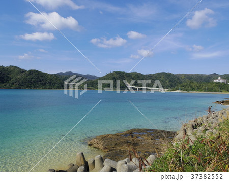 沖縄県名護市大浦湾 沖縄県名護市大浦湾 37382552