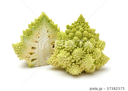 ロマネスコ,ブロッコロ 37382575