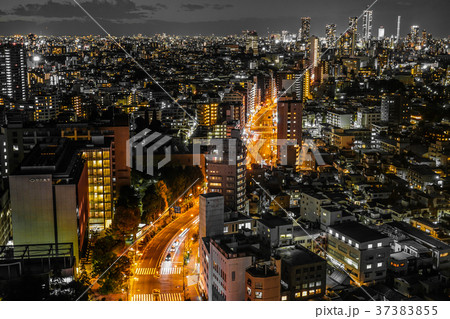 東京の夜景(文京シビックセンターから) 東京の夜景(文京シビックセンターから) 37383855