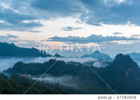 Mountain view with foggy environment on sunrise Mountain view with foggy environment on sunrise 37383936