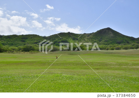 ハワイ ダイアモンドヘッドの風景 ハワイ ダイアモンドヘッドの風景 37384650