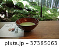 竹林とお茶 37385063