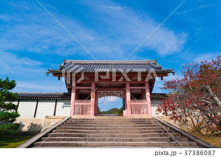 京都　仁和寺の中門 37386087