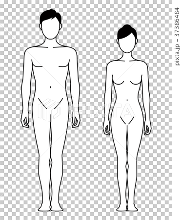 Body of a man and woman facing forward (line drawing) 37386484